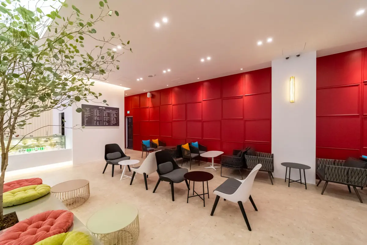 실내 조경과 레드월이 어우러진 일산 감성 카페